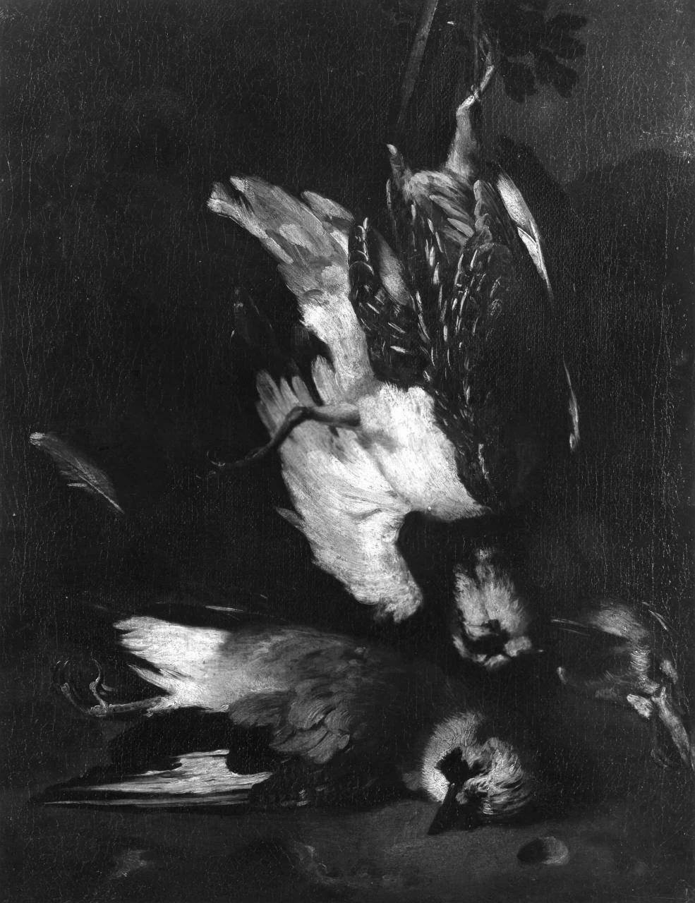 Natura morta con uccelli - Palazzo Pitti, Firenze